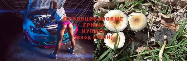прущая мука Шали