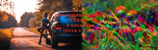 мдма Нея