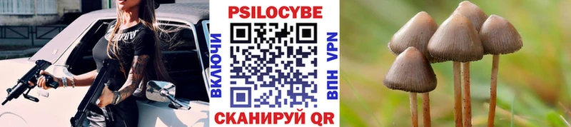 блэк спрут ССЫЛКА Юрьев-Польский Псилоцибиновые грибы ЛСД